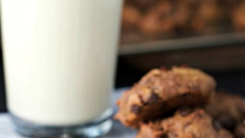 recipe for chickpea chocolate chip cookies vegan & gluten free