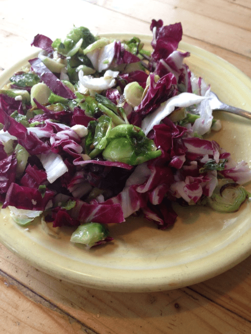 brussels sprout and radicchio salad vegan gluten free recipe