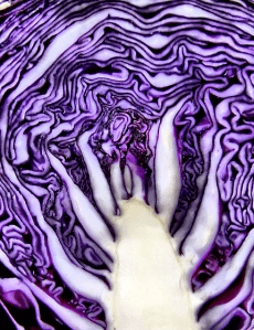 purple cabbage vegan gluten free recipe cabbage