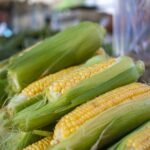 Image of a Corn