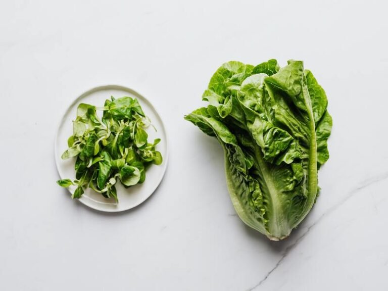Image of a Romaine