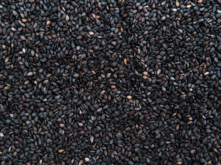 Image of a Sesame Seed