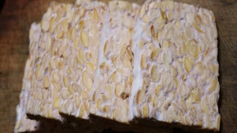Image of a Tempeh