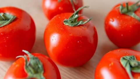 Image of a Tomato