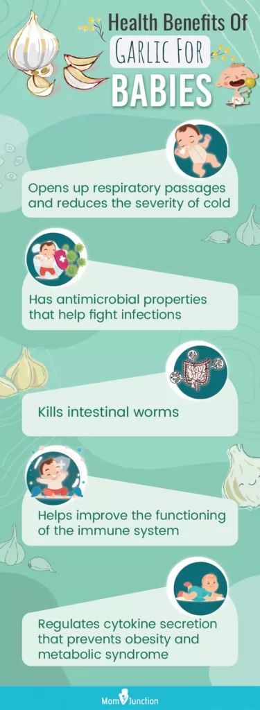 Infographic Is Garlic Beneficial For Babies